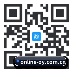 系统版 iOS 二维码
